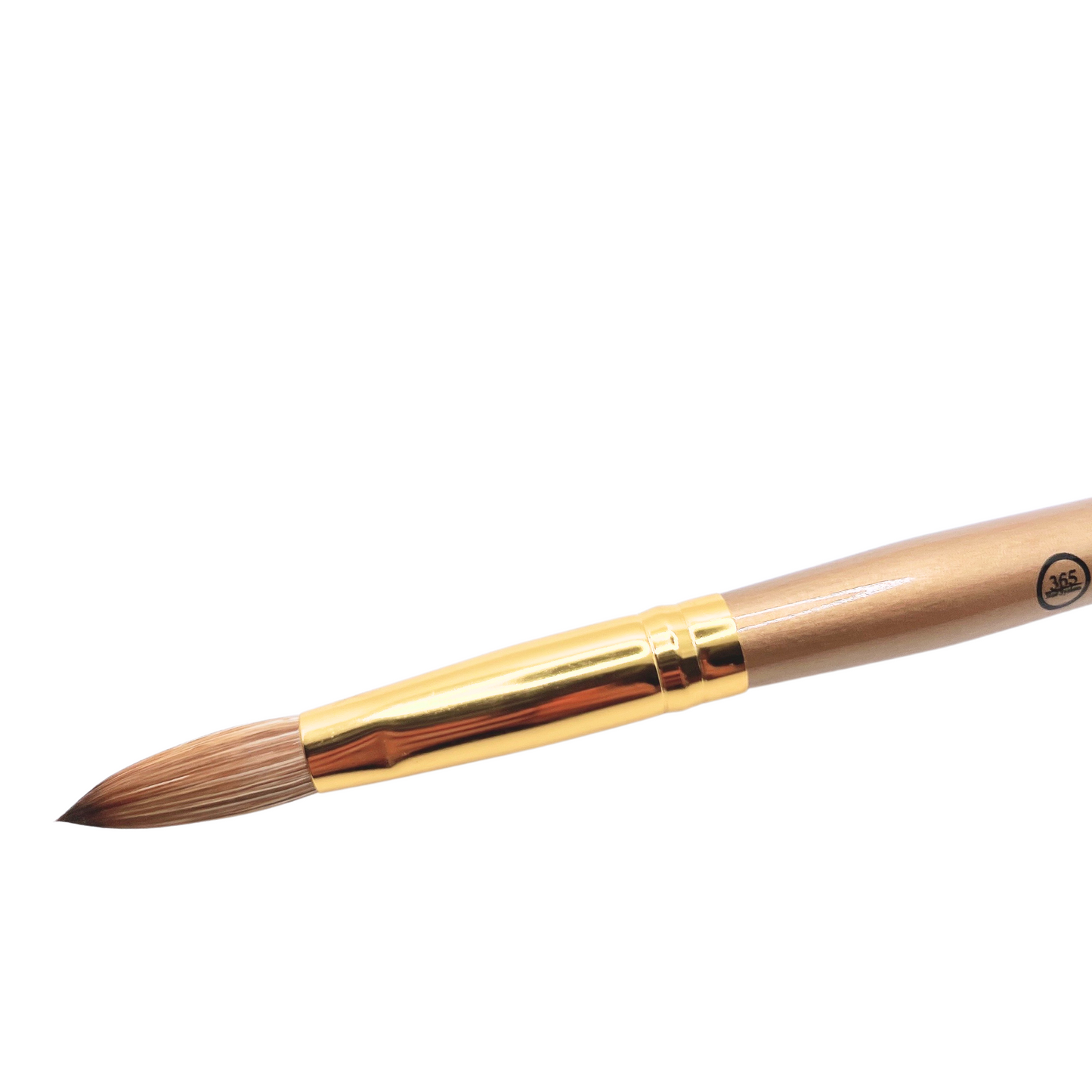 "Size #16 Gold Kolinsky Brush" "Premium Gold Kolinsky Art Brush" "Precision Size #16 Acrylic Brush" "Gold Handled Kolinsky Sable Brush" "Professional Size #16 Acrylic Paint Brush" "Versatile Gold Kolinsky Brush #16" "High-Quality Acrylic Brush Size #16" "Kolinsky Hair Brush with Gold Handle" "Detail-oriented Size #16 Art Brush" "Fine Gold Kolinsky Sable Brush"