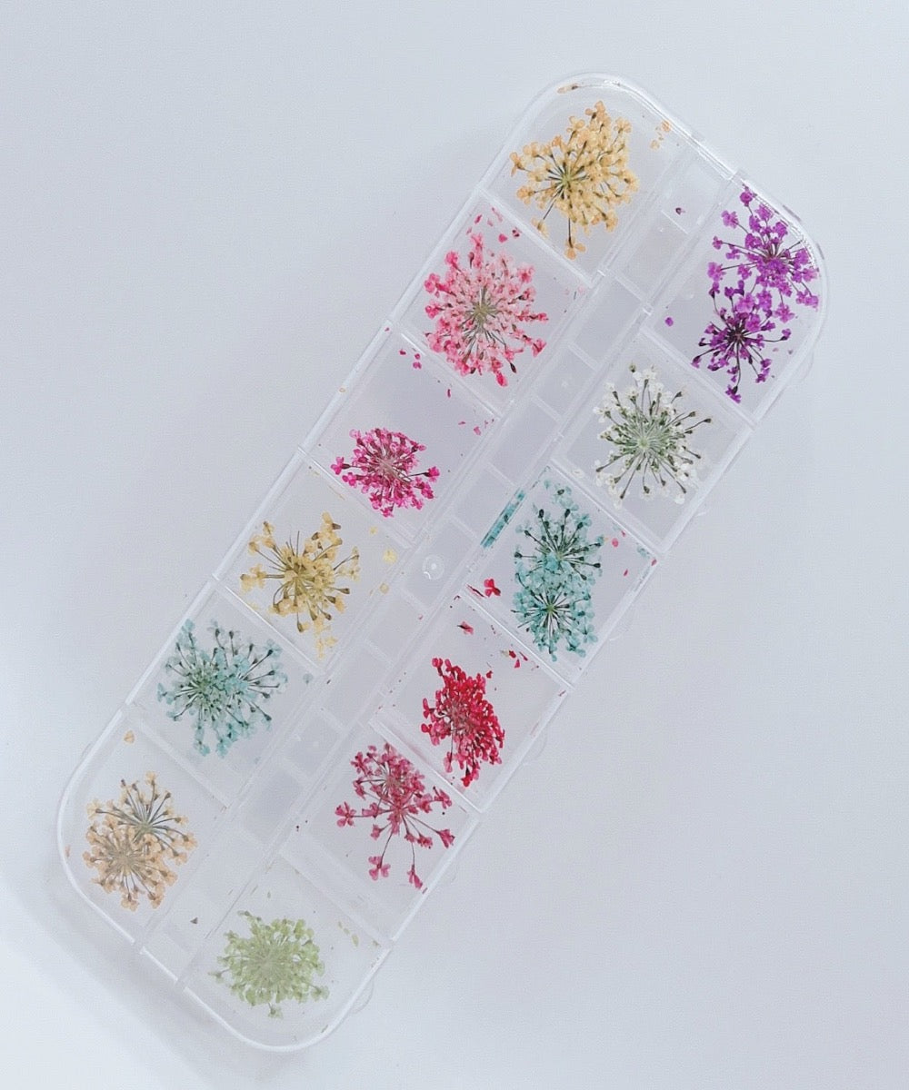 Dried Flower #3 - Nail Art - 12 Grids