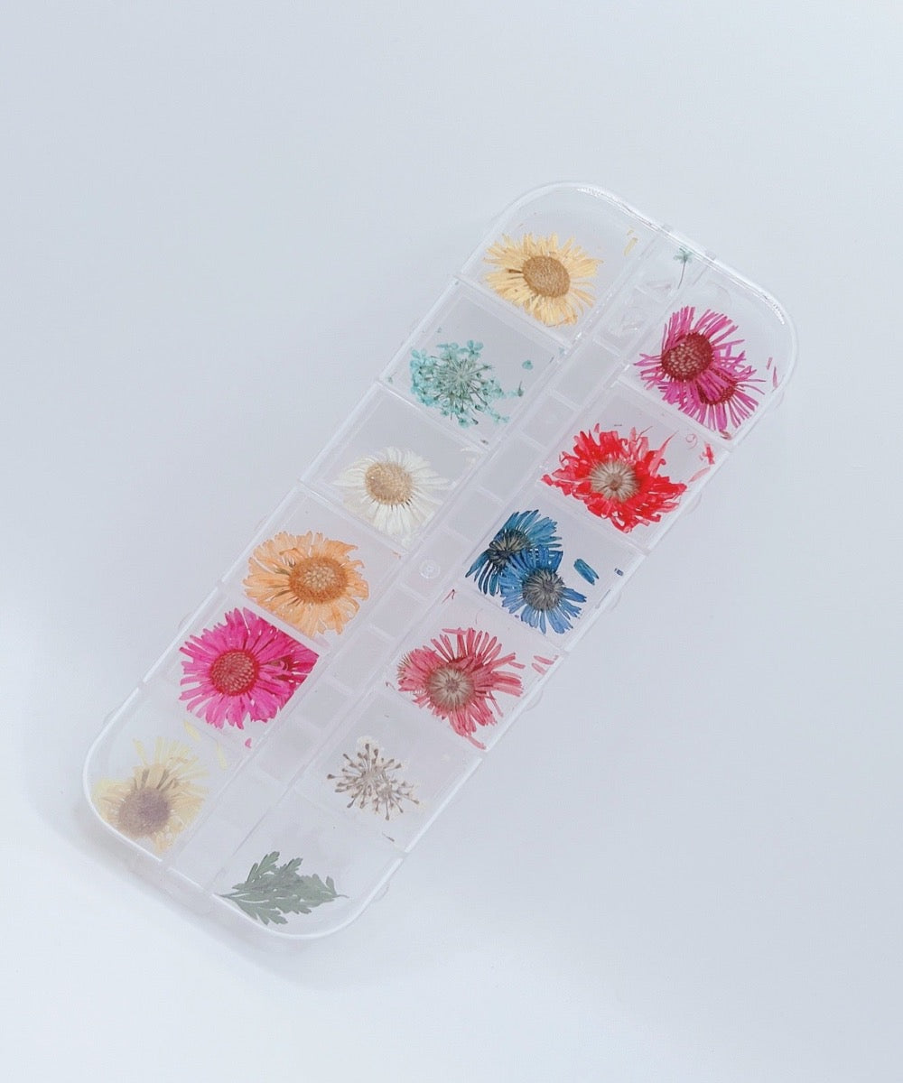 Dried Flower #1 - Nail Art - 12 Grids