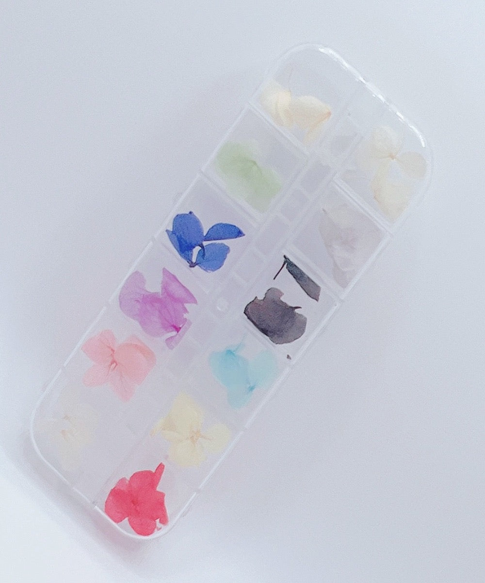 Dried Flower #2 - Nail Art - 12 Grids