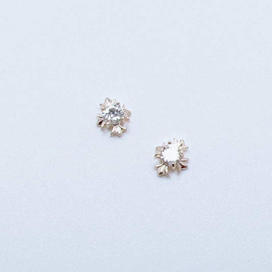 Charms / Zircons #288