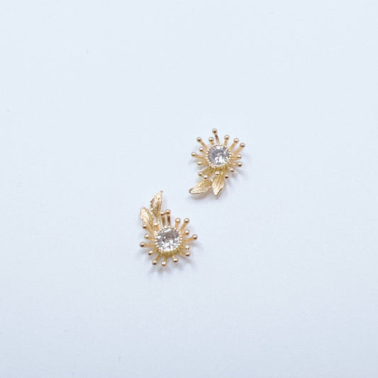 Charms / Zircons #297