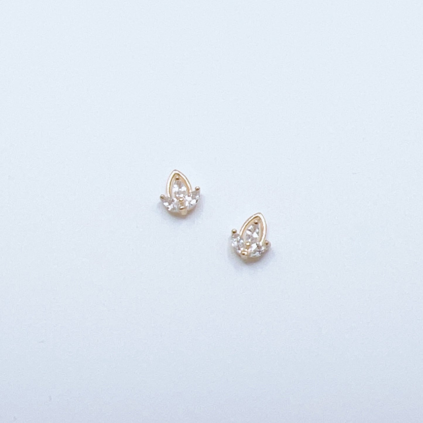 Charms / Zircons #308