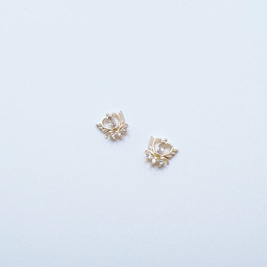 Charms / Zircons #309